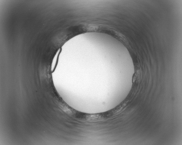 X0000060750525200512011450