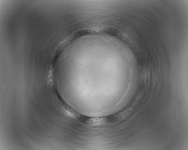 X0000060750526200512011450