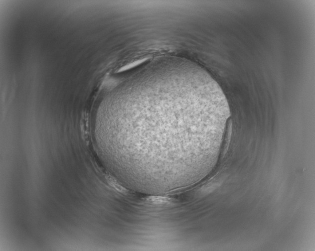 X0000060750528200512011450