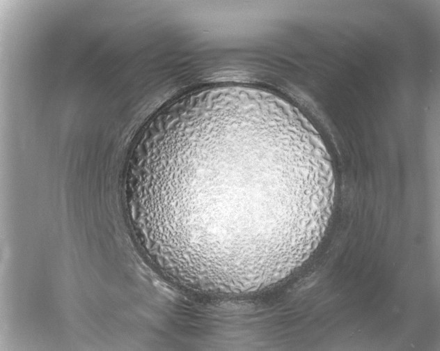 X0000060750529200512011449