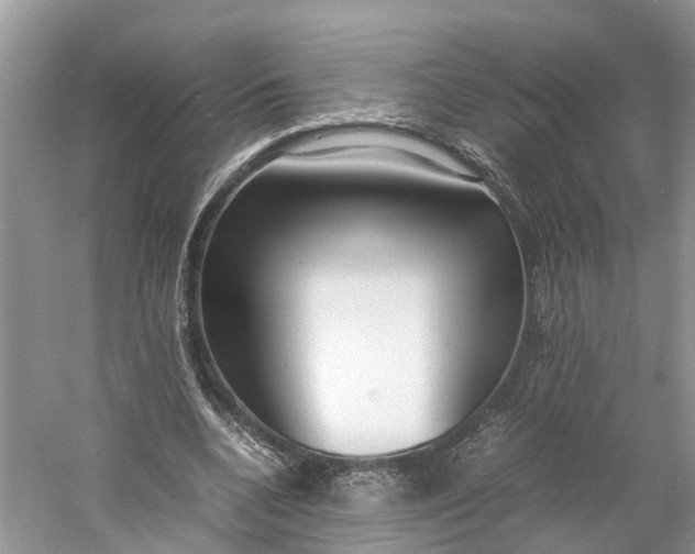 X0000060750536200512011449