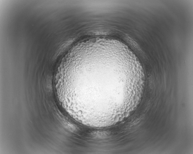 X0000060750537200512011449