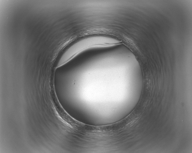 X0000060750538200512011449