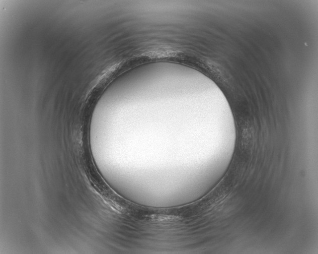 X0000060750539200512011449