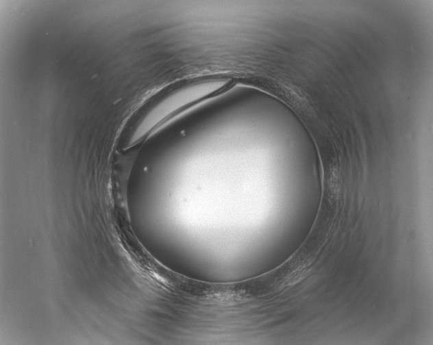 X0000060750540200512011449