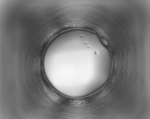 X0000060750542200512011449