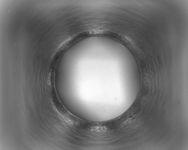 X0000060750543200512011449