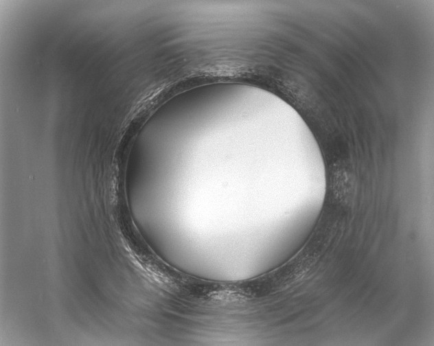 X0000060750544200512011449