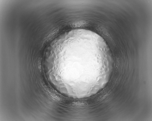 X0000060750545200512011449