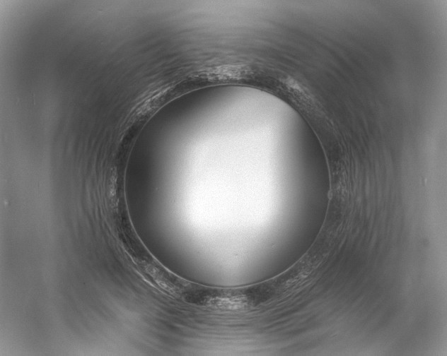 X0000060750548200512011449