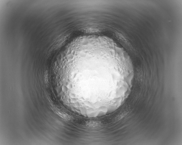 X0000060750549200512011449