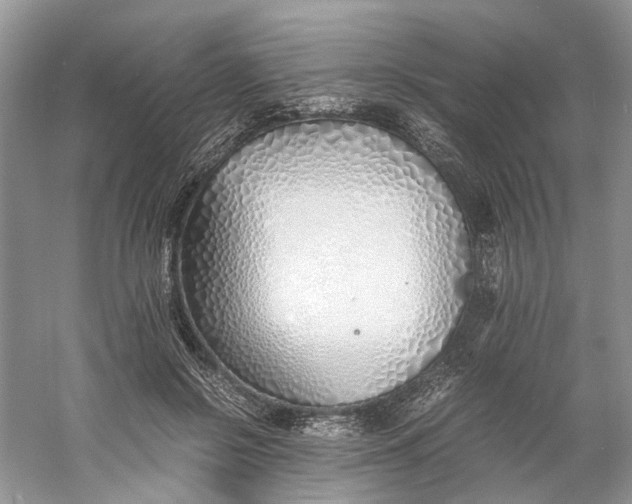 X0000060750550200512011449