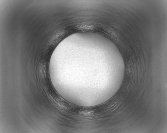 X0000060750551200512011449
