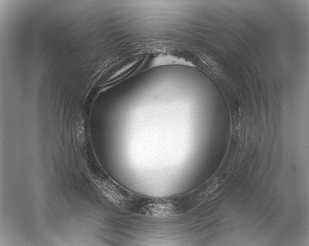 X0000060750552200512011449