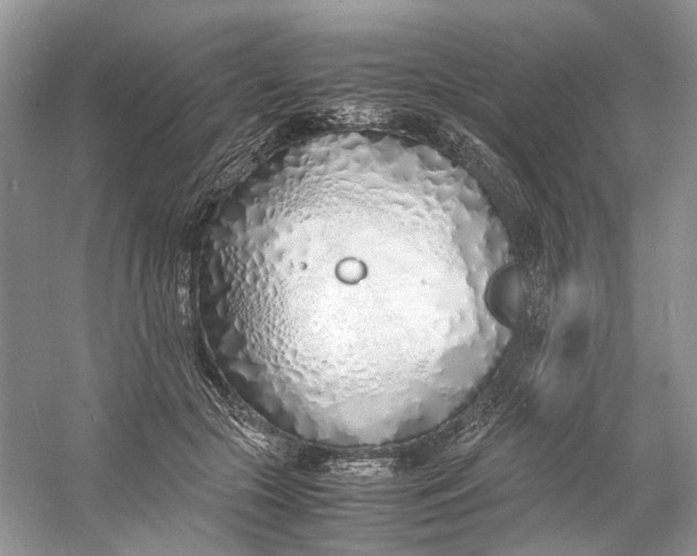 X0000060750553200512011449