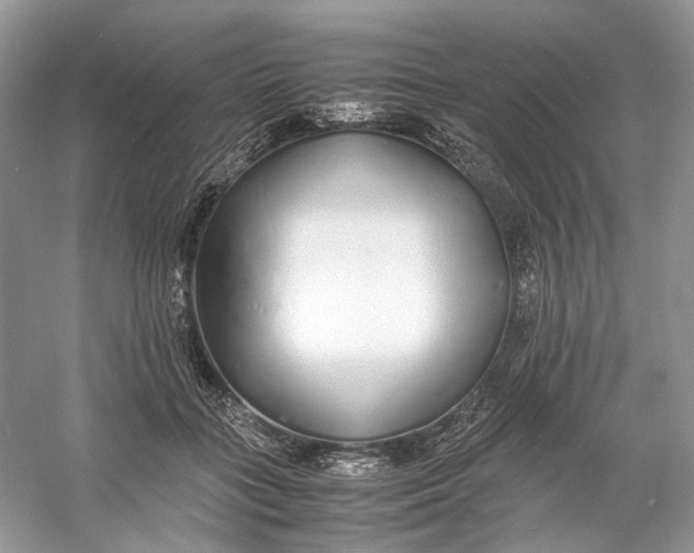 X0000060750555200512011450