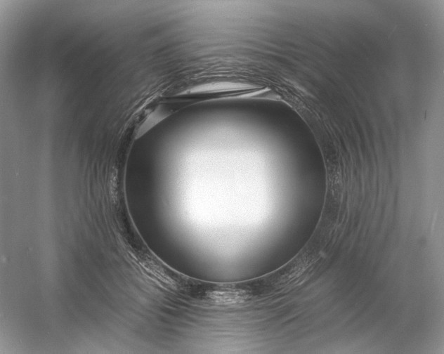 X0000060750556200512011450