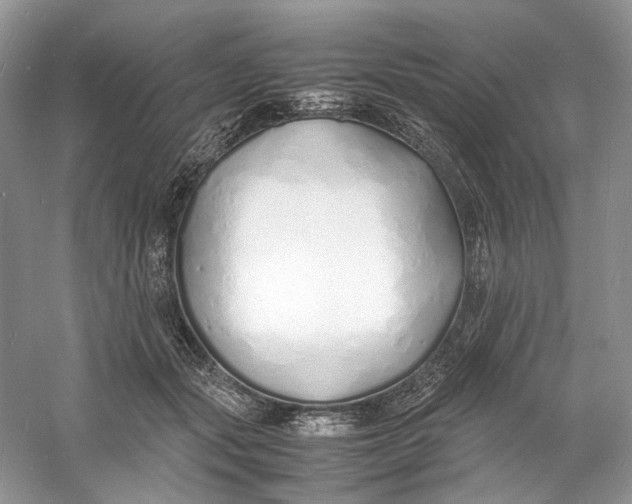 X0000060750557200512011450