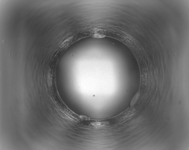 X0000060750558200512011450