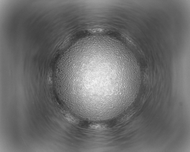 X0000060750561200512011450
