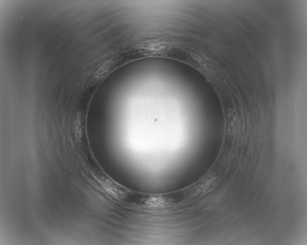 X0000060750562200512011450