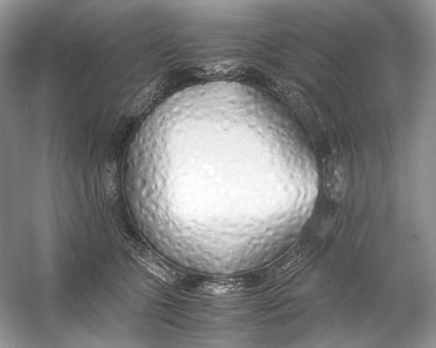 X0000060750563200512011450