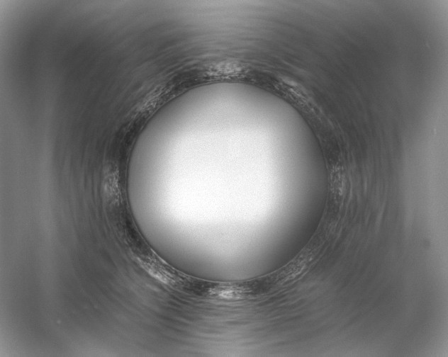 X0000060750564200512011450