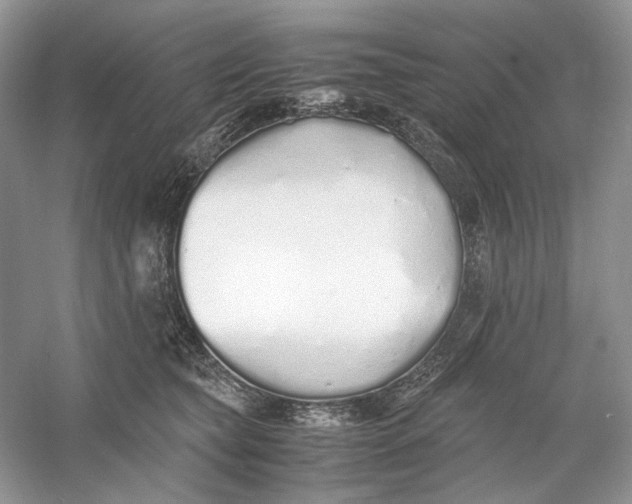 X0000060750565200512011450