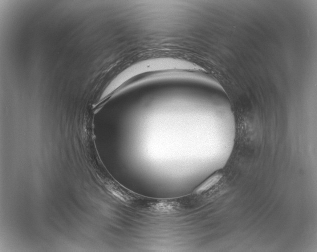 X0000060750566200512011450