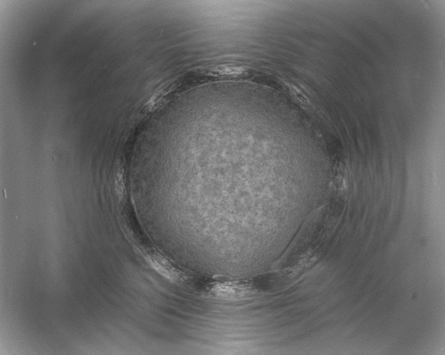 X0000060750568200512011450