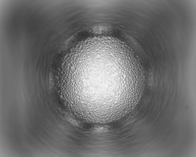 X0000060750569200512011450