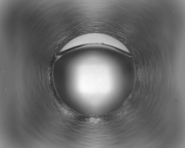 X0000060750570200512011450