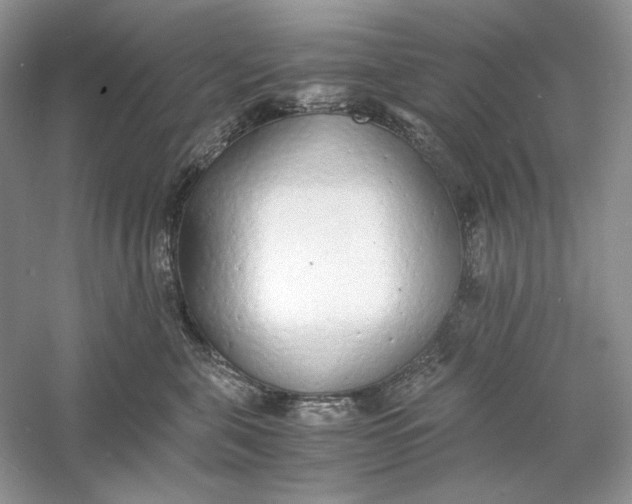 X0000060750571200512011450