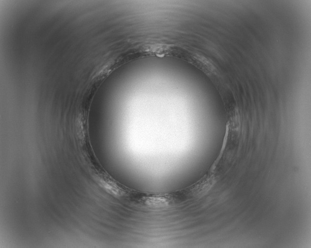 X0000060750572200512011450