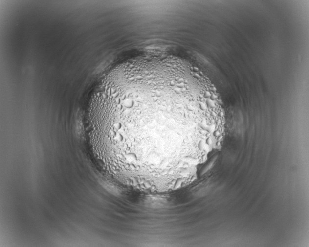 X0000060750573200512011450