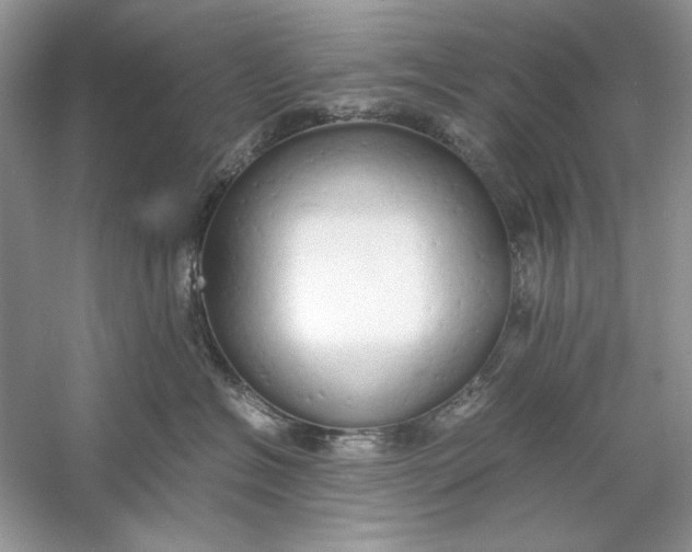 X0000060750574200512011450