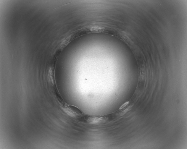 X0000060750575200512011450