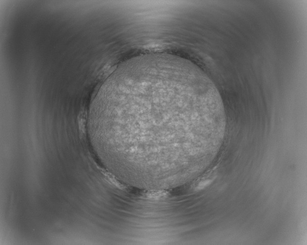X0000060750576200512011450