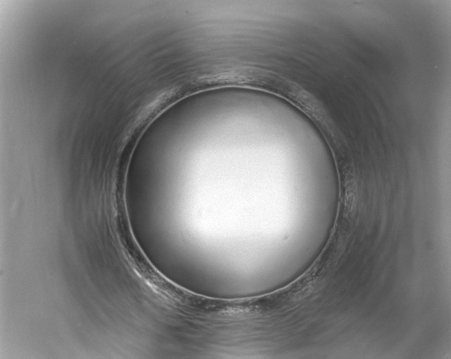X0000060750578200512011449