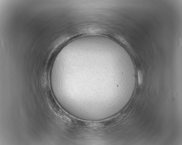 X0000060750579200512011449