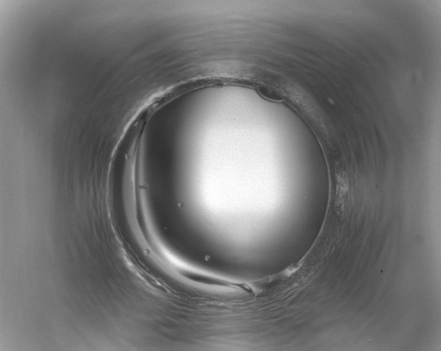 X0000060750580200512011449