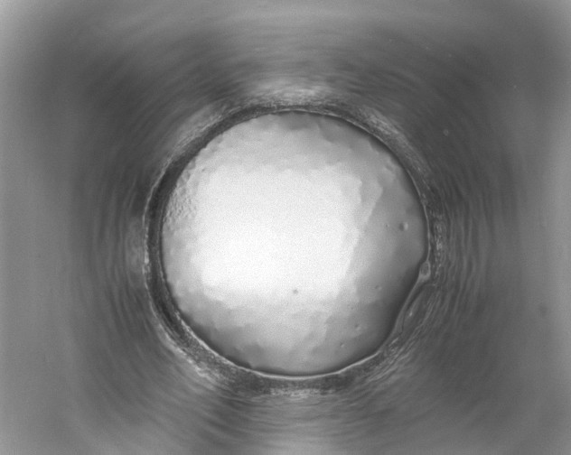 X0000060750582200512011449