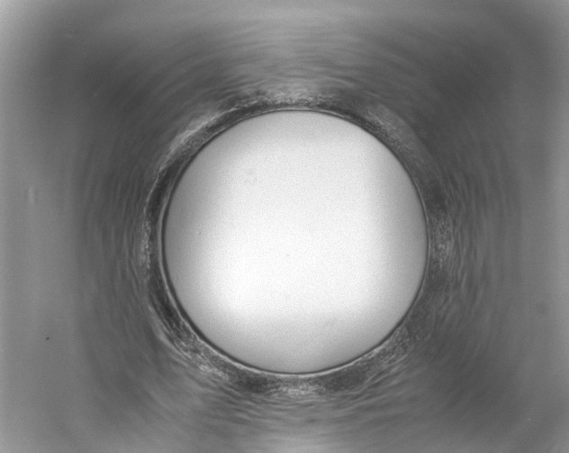 X0000060750583200512011449