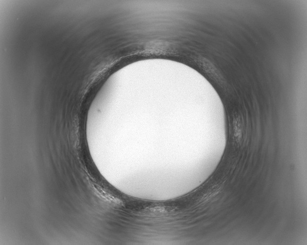X0000060750588200512011449
