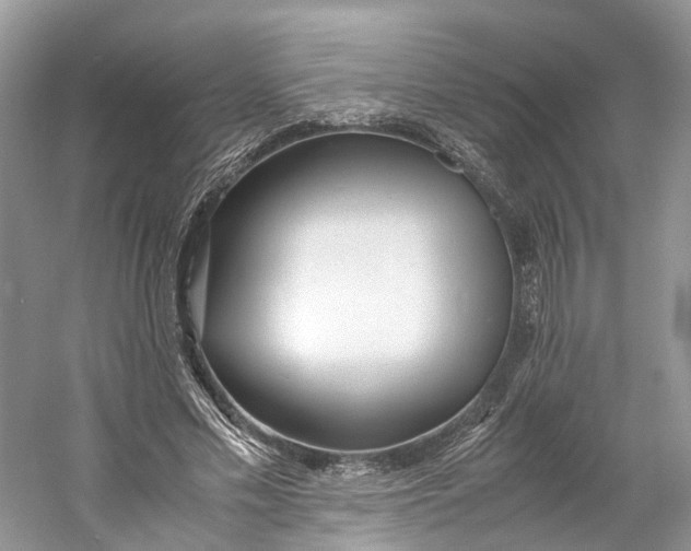 X0000060750589200512011449
