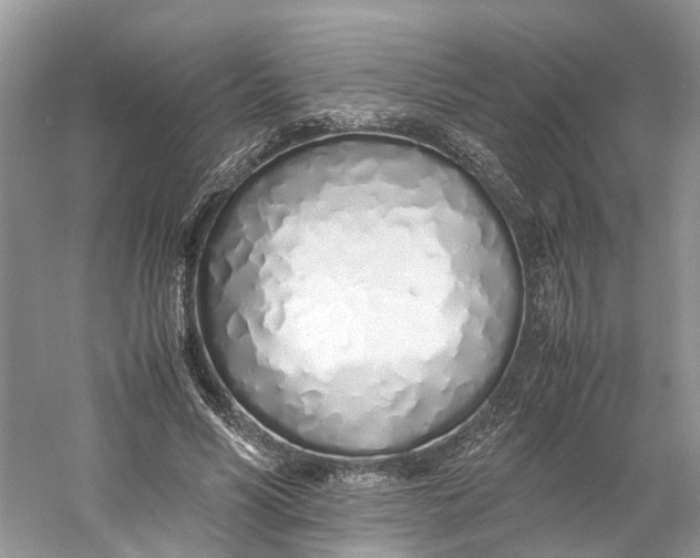 X0000060750590200512011449