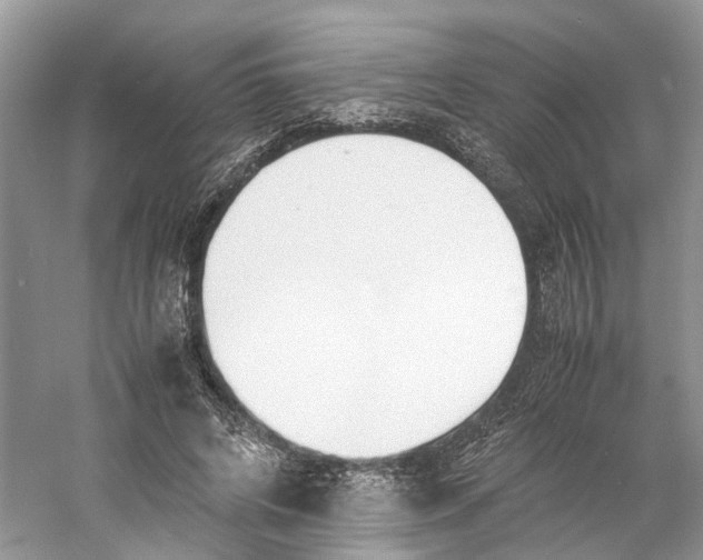 X0000060750592200512011449
