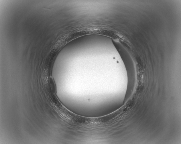 X0000060750593200512011449