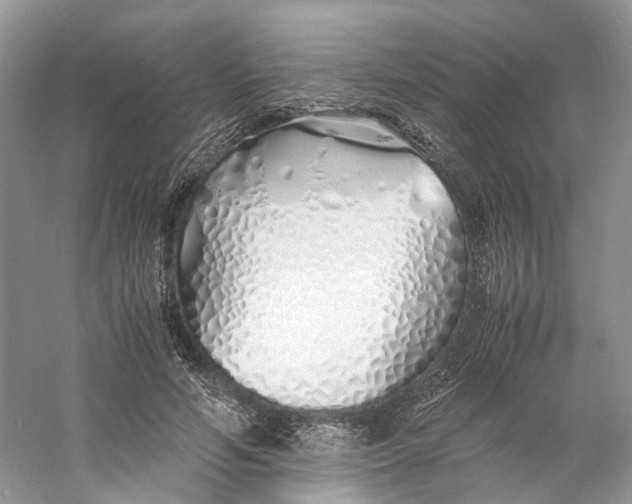 X0000060750594200512011449