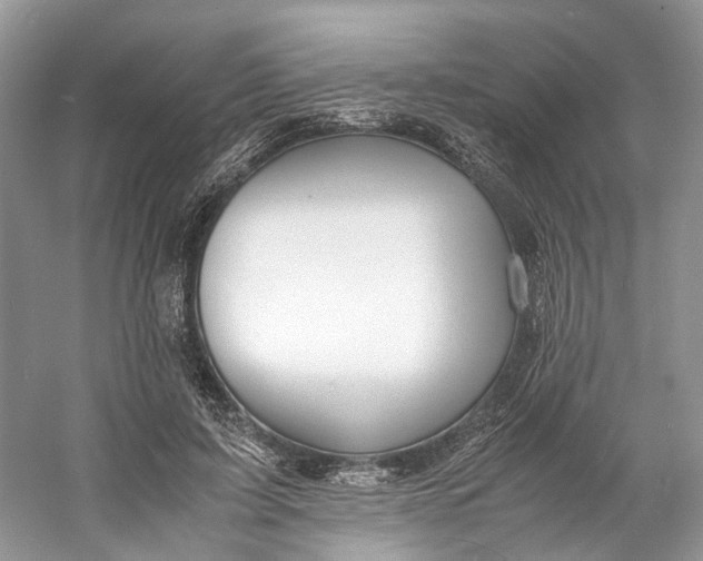 X0000060750595200512011449